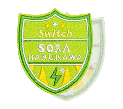 Self-Stick Patches